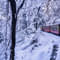 1628752391 shutterstock 1611100123.jpg?w=60&h=60&dpr=1